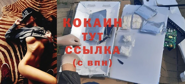 шишки Ачинск