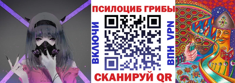 Галлюциногенные грибы прущие грибы  купить наркотики сайты  Кисловодск 